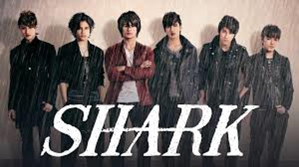 Sharkの動画を1話から最終話まで無料で見る方法 Vodzoo